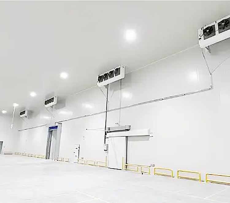 Vegetable cold storage